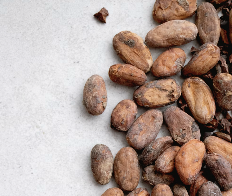 cocoa beans cocoa beans