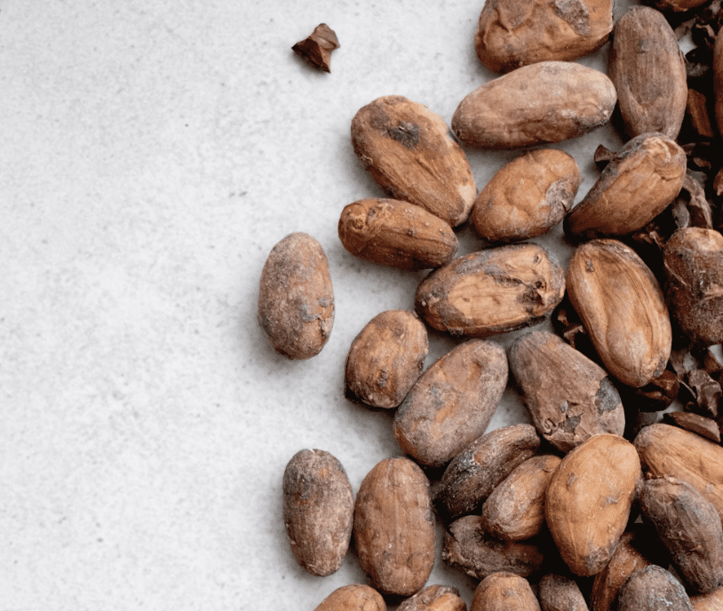 cocoa beans