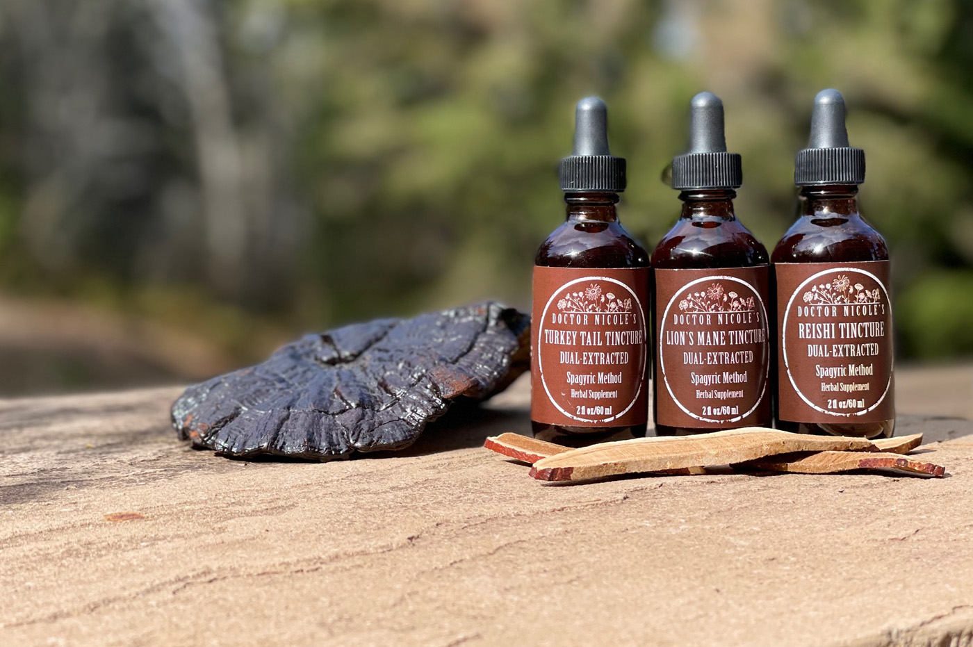 Nicoles Apothecary Mushroom Trio tincture bundle
