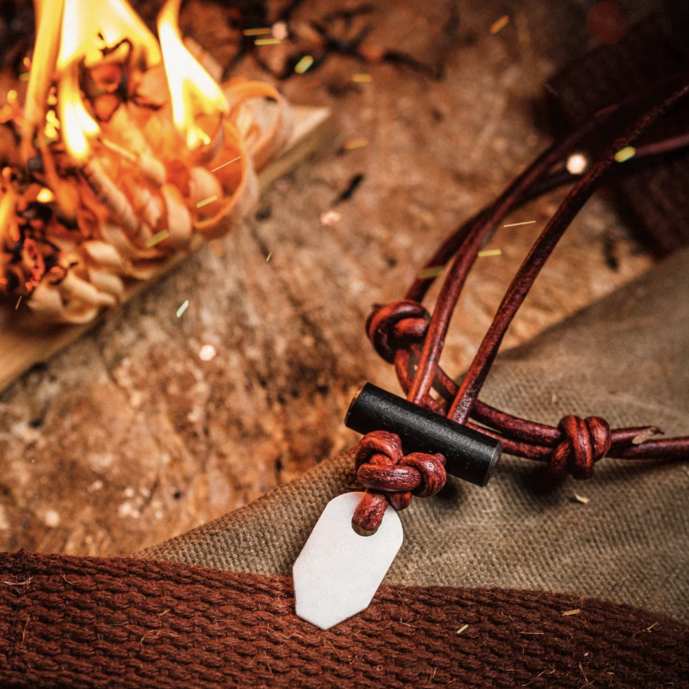 Nicole Apelian in long term shelter