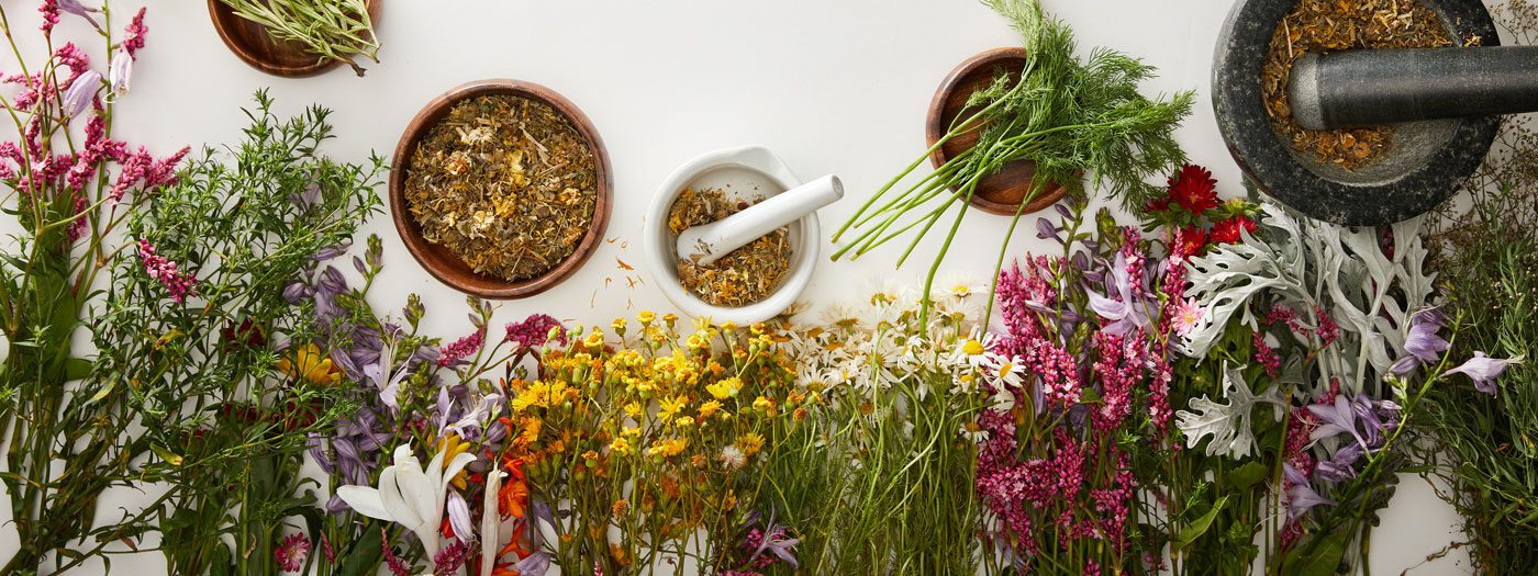 bunches of herbs bowls preparation dried herbs in bundles and bowls