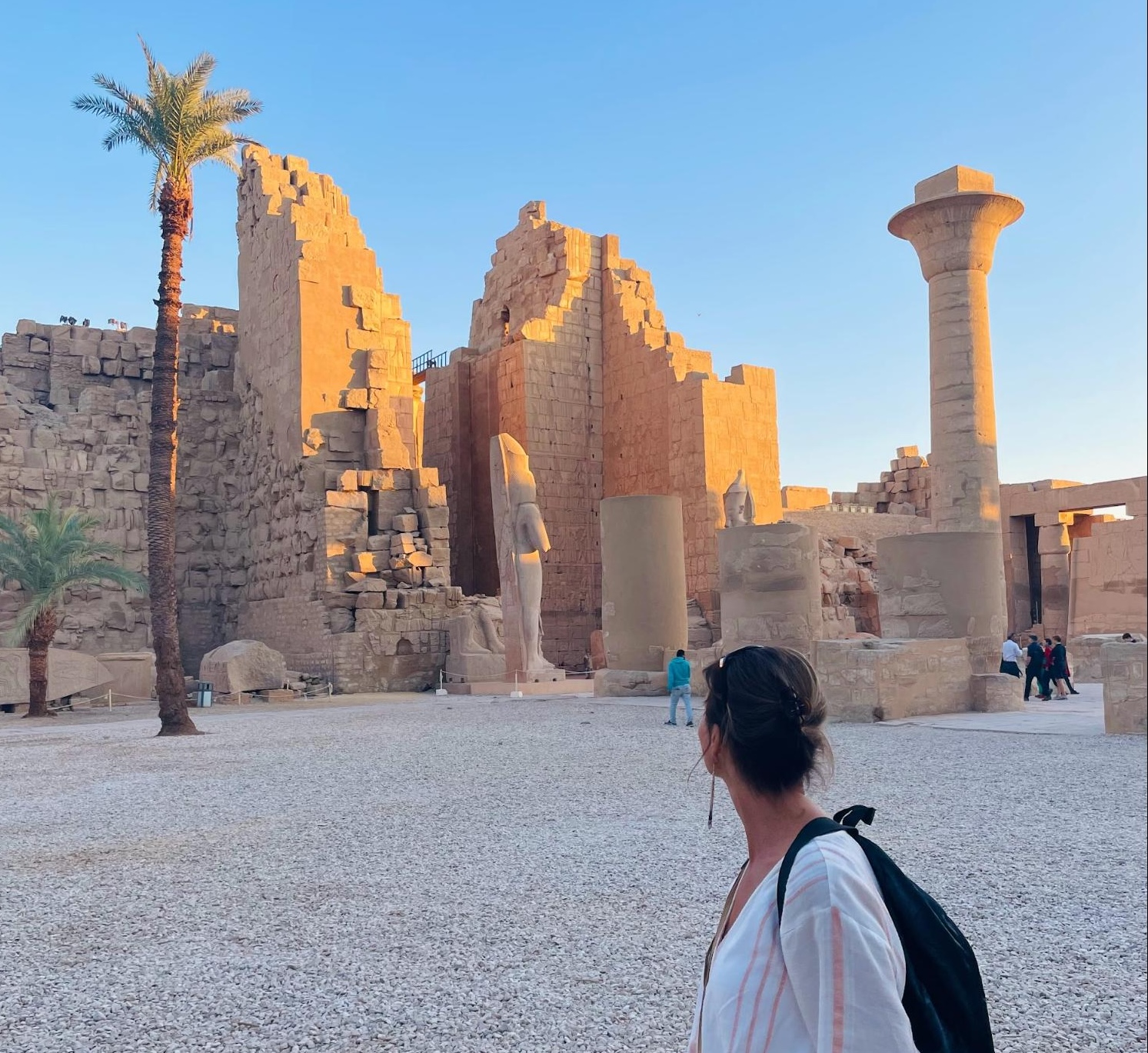 Are Liver Flukes Making You Sick? Signs, Risks, and How to Heal