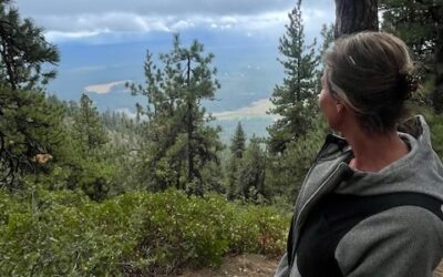 New Research Links Higher Levels of Brain Aluminum to MS, Autism, & More