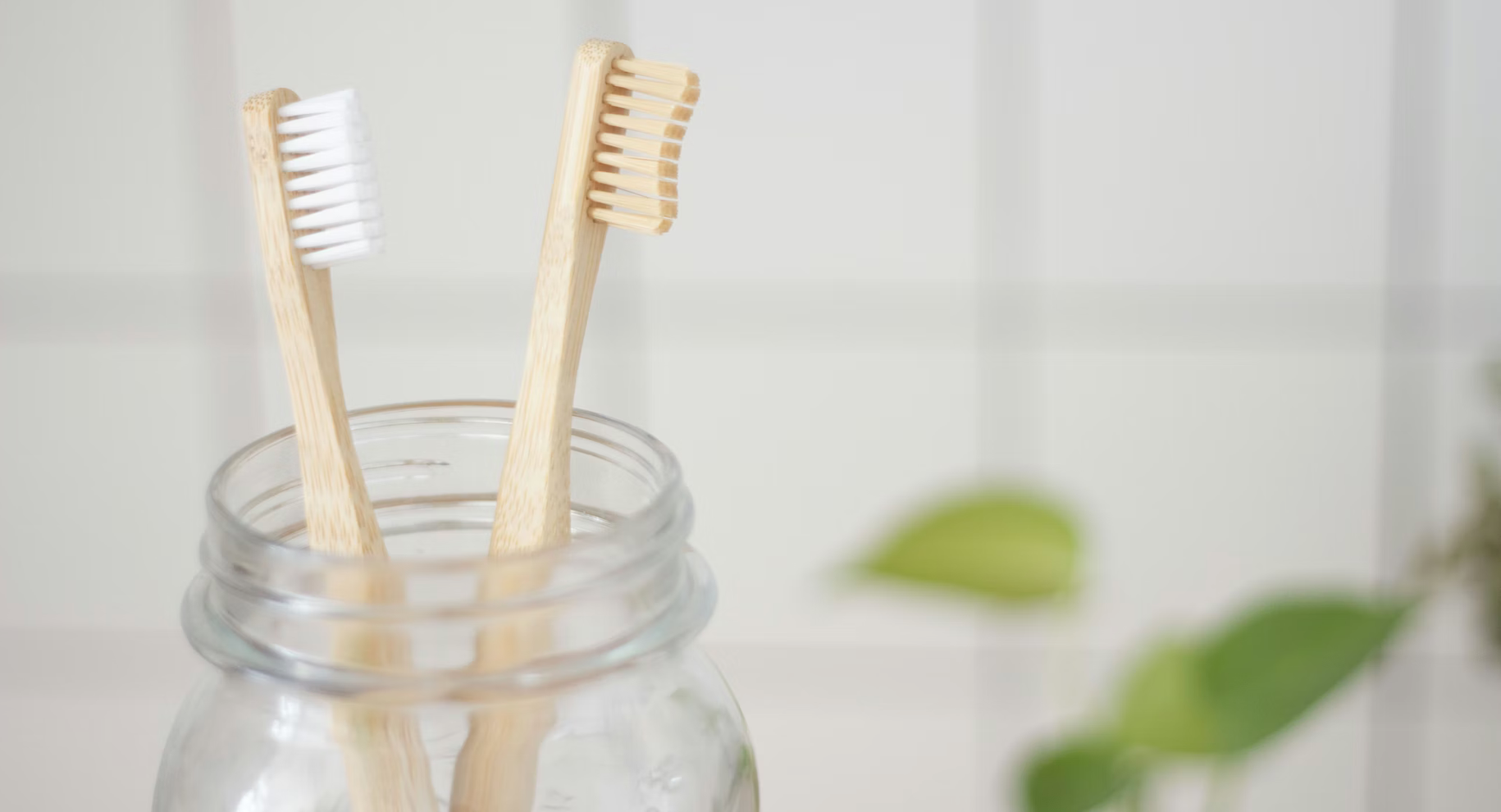 toothbrushes in mason jar