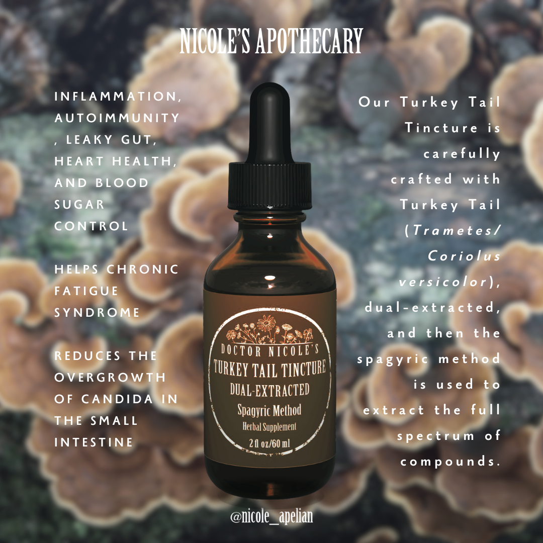 Turkey Tail Tincture benefits