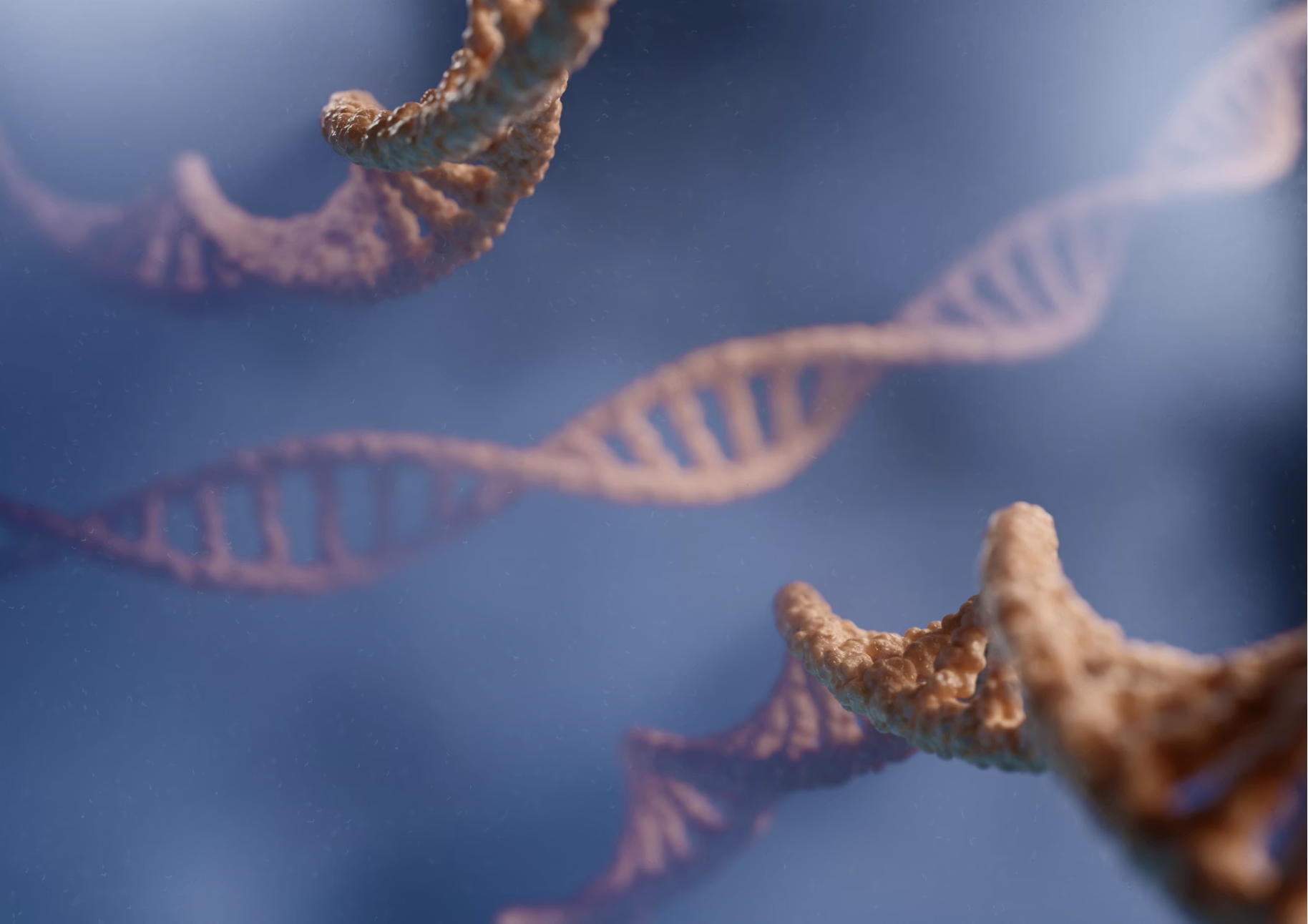 dna strands