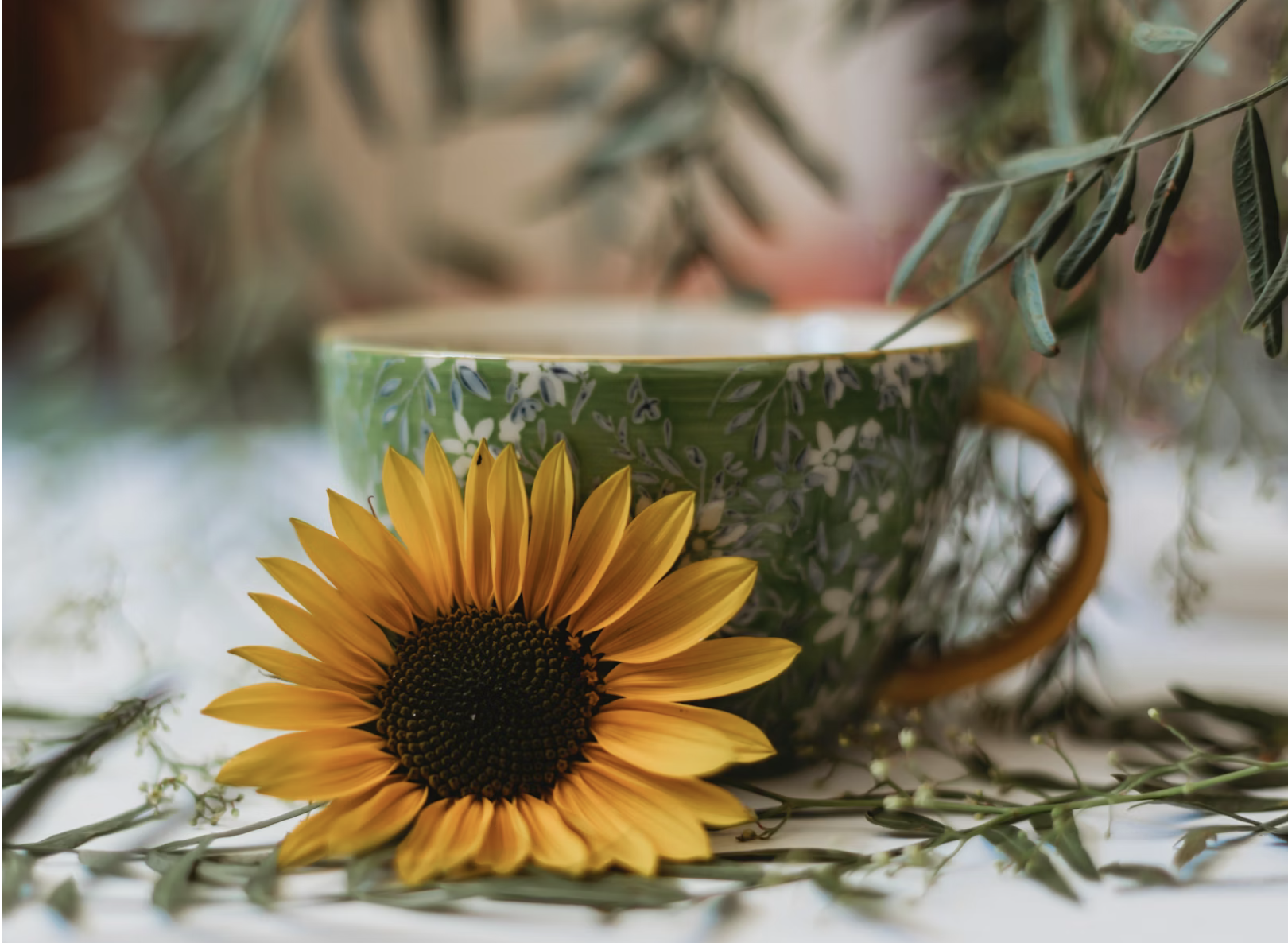 sunflower and teacup
